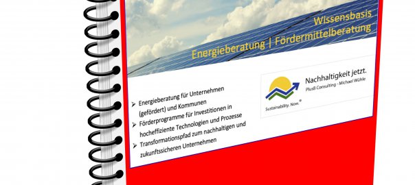 eBook Energieberatung